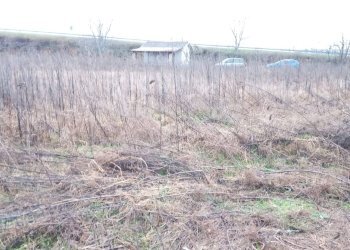 Terreno agricolo Verolengo - foto 6