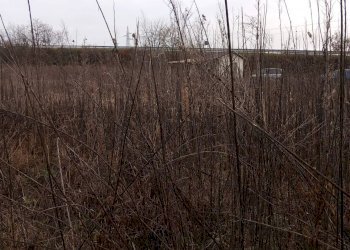 Terreno agricolo Verolengo - foto 9