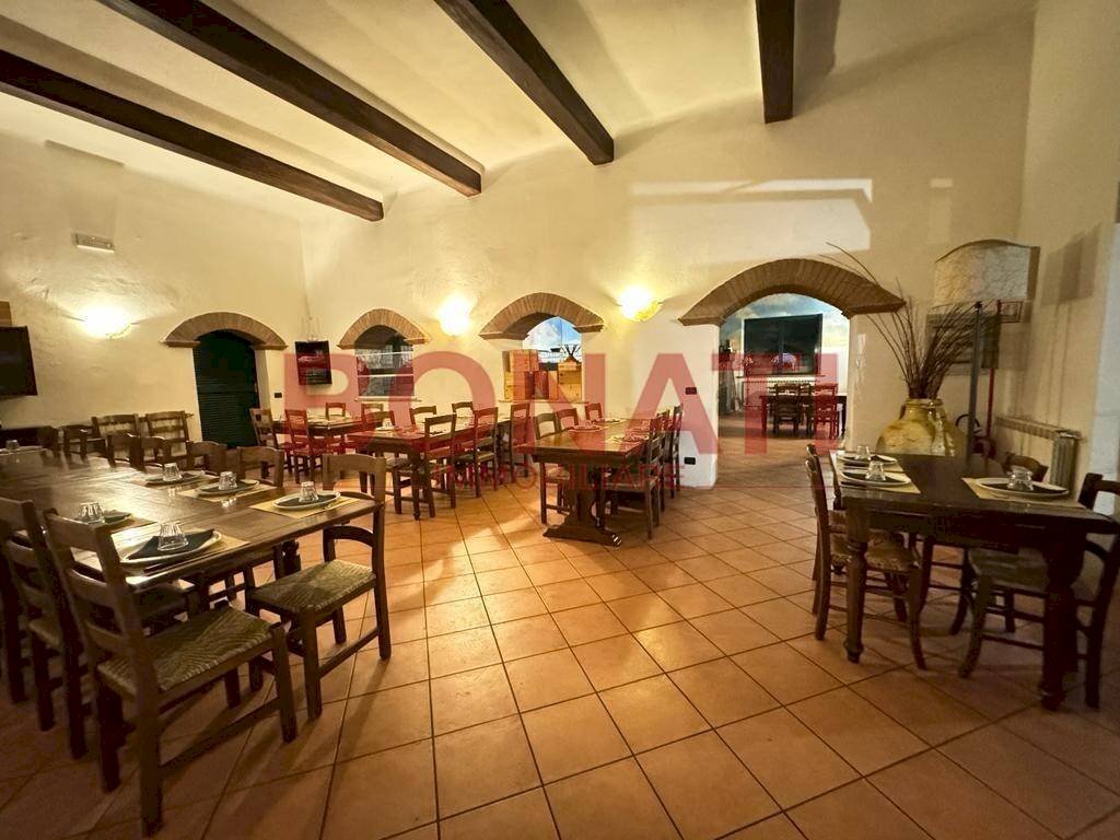 IMG-20231108-WA0053.jpg - Ristorante via della Lizza, 23, La Spezia - foto 3