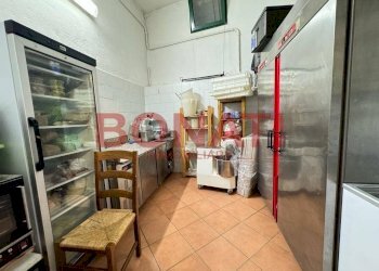 IMG-20231108-WA0044.jpg - Ristorante via della Lizza, 23, La Spezia - foto 13