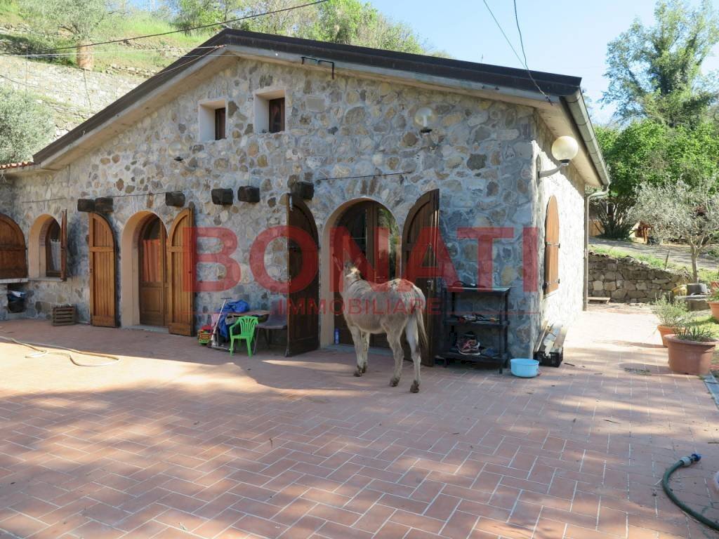 327.JPG - Rustico Bolano - foto 1