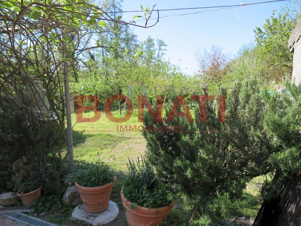 329.JPG - Rustico Bolano - foto 2