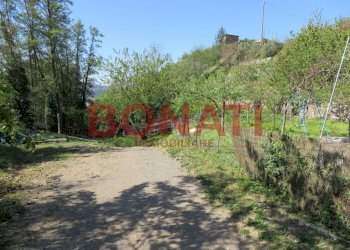 331.JPG - Rustico Bolano - foto 5