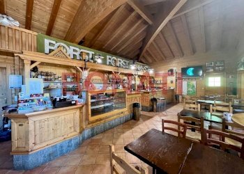 image-01-06-22-11-37-3.jpeg - Restaurant Ventasso - photo 9