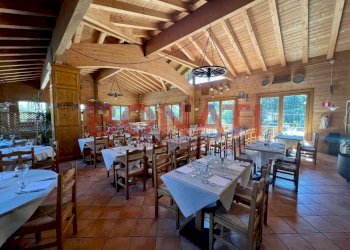 image-01-06-22-11-37-5.jpeg - Restaurant Ventasso - photo 11