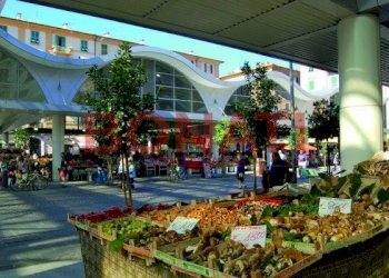 piazza-cavour-640x400.jpg - Alimentari - Gastronomia La Spezia - foto 2