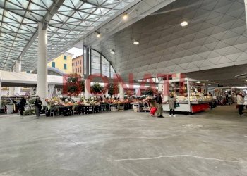 image-03-03-23-09-12.jpeg - Alimentari - Gastronomia La Spezia - foto 3