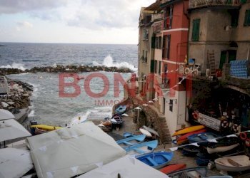 3124.jpg - Quadrilocale Riomaggiore - foto 10