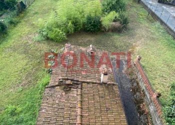 Terreno - Villa Licciana Nardi - foto 29