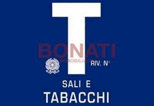 1.jpg - Bar - Tabacchi - Ricevitoria via Brigata Partigiana Ugo Muccini, 1, Sarzana - foto 2