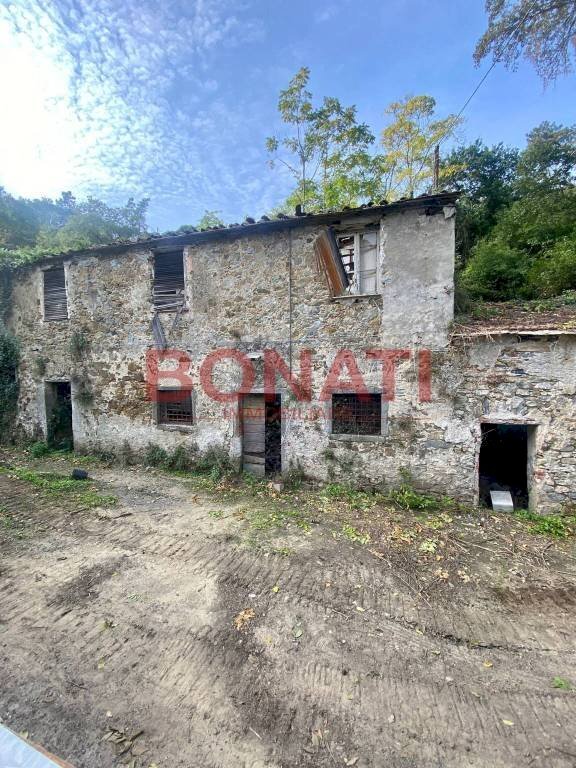 Terreno - Rustico La Spezia - foto 1