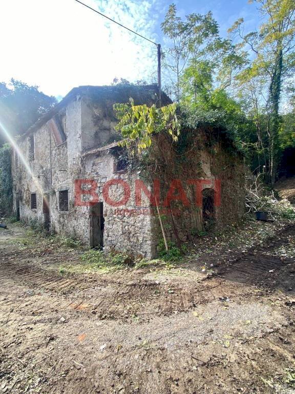 Terreno - Rustico La Spezia - foto 3