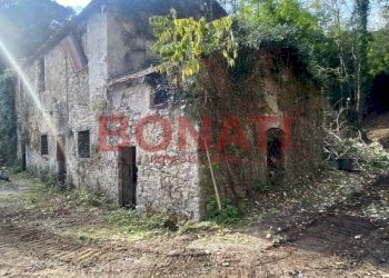 Terreno - Rustico La Spezia - foto 3