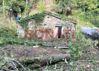 Terreno - Rustic La Spezia - photo 4