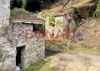 Terreno - Rustico La Spezia - foto 5