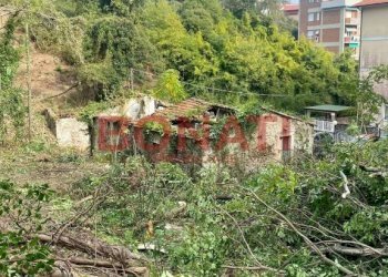 Terreno - Rustic La Spezia - photo 6