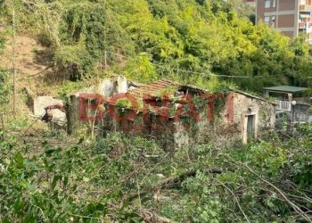 Terreno - Rustico La Spezia - foto 7