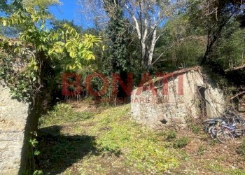 Terreno - Rustico La Spezia - foto 8