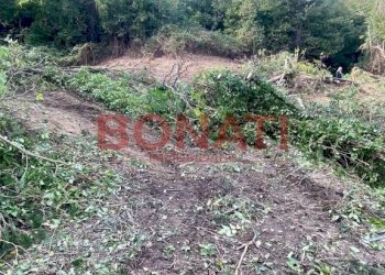 Terreno - Rustico La Spezia - foto 9