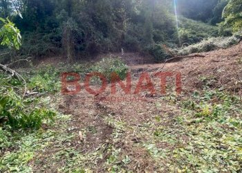 Terreno - Rustic La Spezia - photo 11