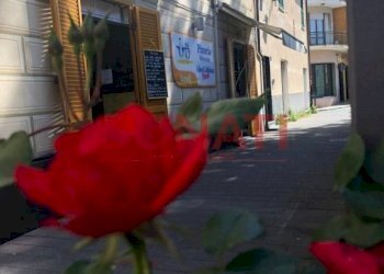 311036f2-190a-41a1-827a-3336ffef748e.JPG - Ristorante Sestri Levante - foto 7