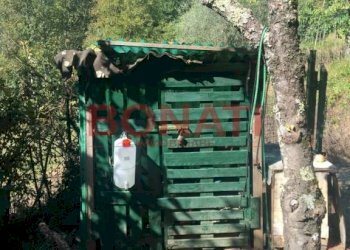 Villa a Schiera Tresana - foto 7