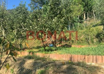 Villa a Schiera Tresana - foto 14