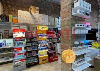 IMG-20230829-WA0002.jpg - Cartoleria - Libreria via dei Mille, 88, La Spezia - foto 1