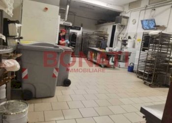 IMG-20240716-WA0014.jpg - Negozio via Napoli, 27, La Spezia - foto 15