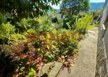 20230910_113323.jpg - Villa a Schiera Arcola - foto 1