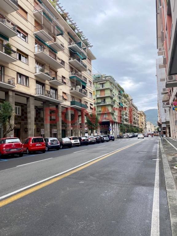 3.jpg - Shop galleria adamello, 4, La Spezia - photo 1