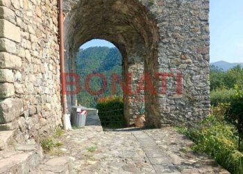 Giardino - Casa indipendente Beverino - foto 18