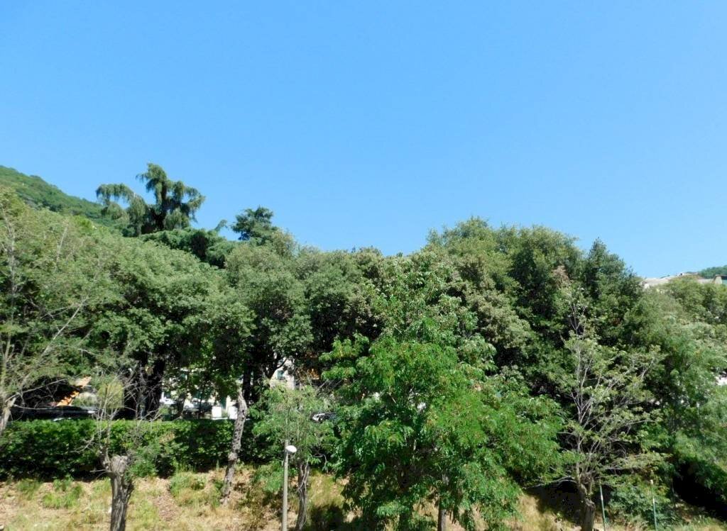 Quadrilocale via Giovan Battista Ferrari, Camogli - foto 2