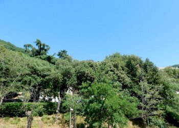 Quadrilocale via Giovan Battista Ferrari, Camogli - foto 2