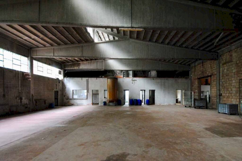 SALONE - Capannone via Mario Colletta, 27, Andorno Micca - foto 3