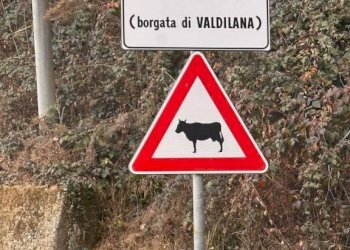 FRAZIONE - Villa a Schiera Borgata Frieri, 19, Valdilana - foto 28