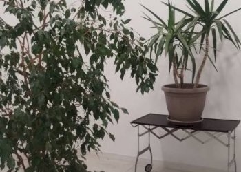 Balcone - Ufficio via Andrea Moretti, Bergamo - foto 25