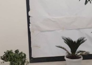 Interno palazzo - Office via Andrea Moretti, Bergamo - photo 28