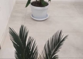 Interno palazzo - Office via Andrea Moretti, Bergamo - photo 16