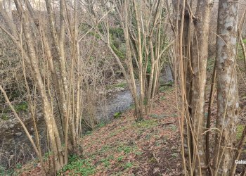 Terreno commerciale contrada fiume, Aiello del Sabato - foto 6