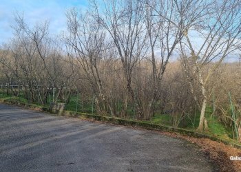 Terreno commerciale contrada fiume, Aiello del Sabato - foto 7