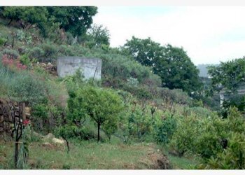 Altro - Terreno edificabile Bordighera - foto 4