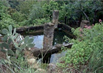 Altro - Terreno edificabile Bordighera - foto 6