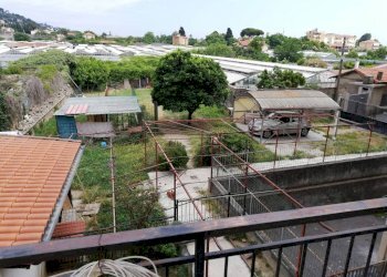 vista su giardino - Villa Vallecrosia - foto 17