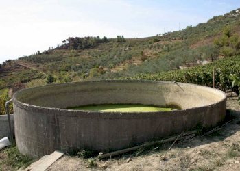 Altro - Terreno agricolo via Miramonti, 3, Perinaldo - foto 11