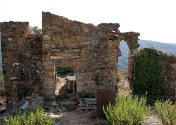 Altro - Terreno agricolo via Miramonti, 3, Perinaldo - foto 13