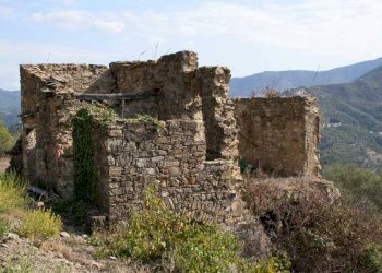 Altro - Terreno agricolo via Miramonti, 3, Perinaldo - foto 14