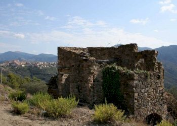 Altro - Terreno agricolo via Miramonti, 3, Perinaldo - foto 15