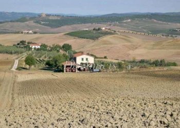 azienda agricola - Rustico strada Provinciale Poggi del Sasso, Cinigiano - foto 1