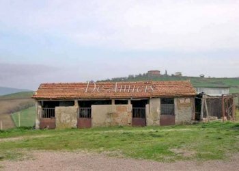 immobile - Rustico strada Provinciale Poggi del Sasso, Cinigiano - foto 7